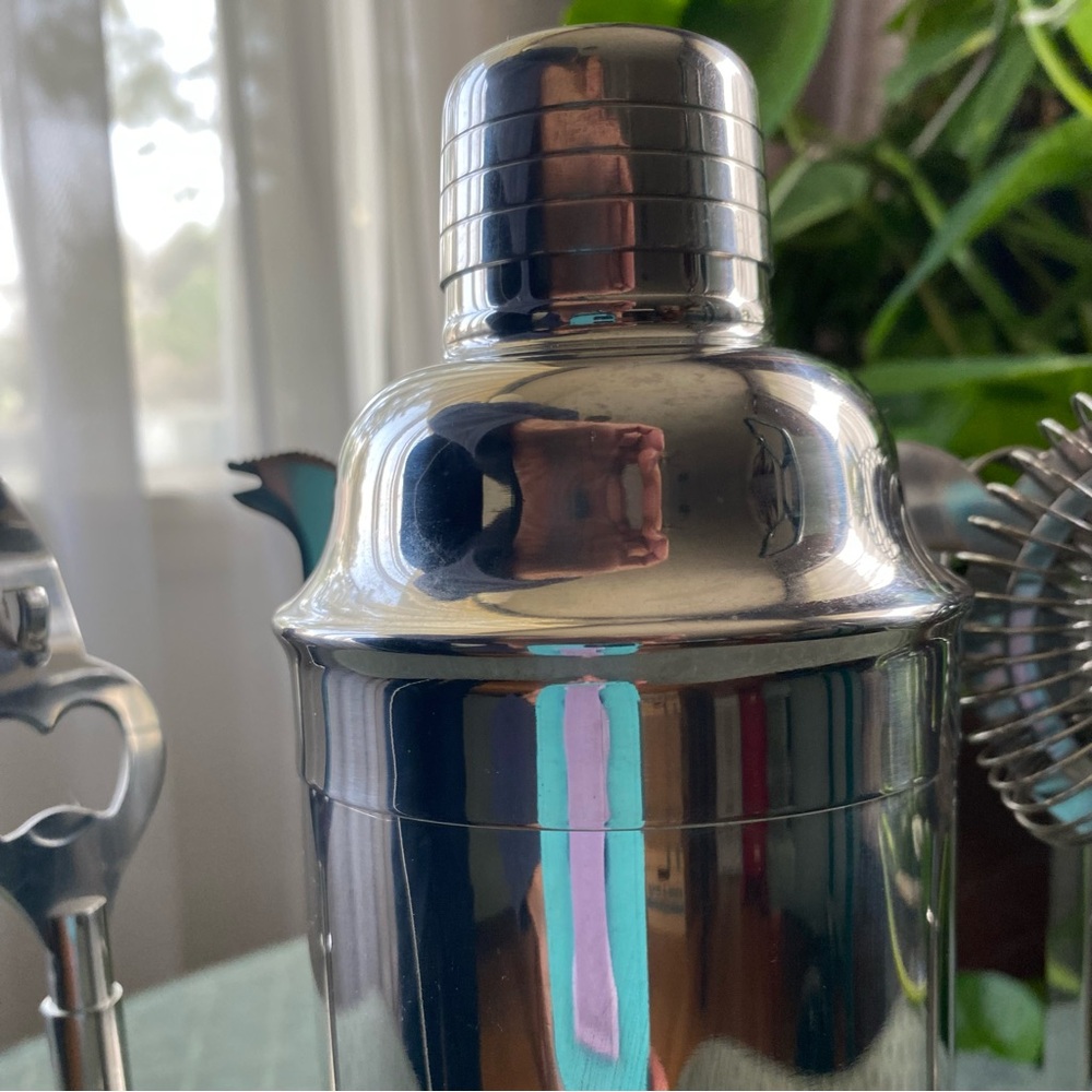 Pier 1 Imports Stainless Steel Cocktail Mixer Bar 6 piece Tool Set - Picture 5 of 11